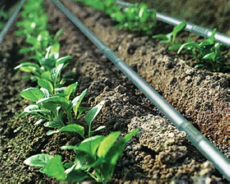 Drip Irrigation Systems